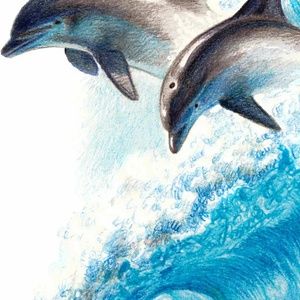 Meet your Posher, Rachael